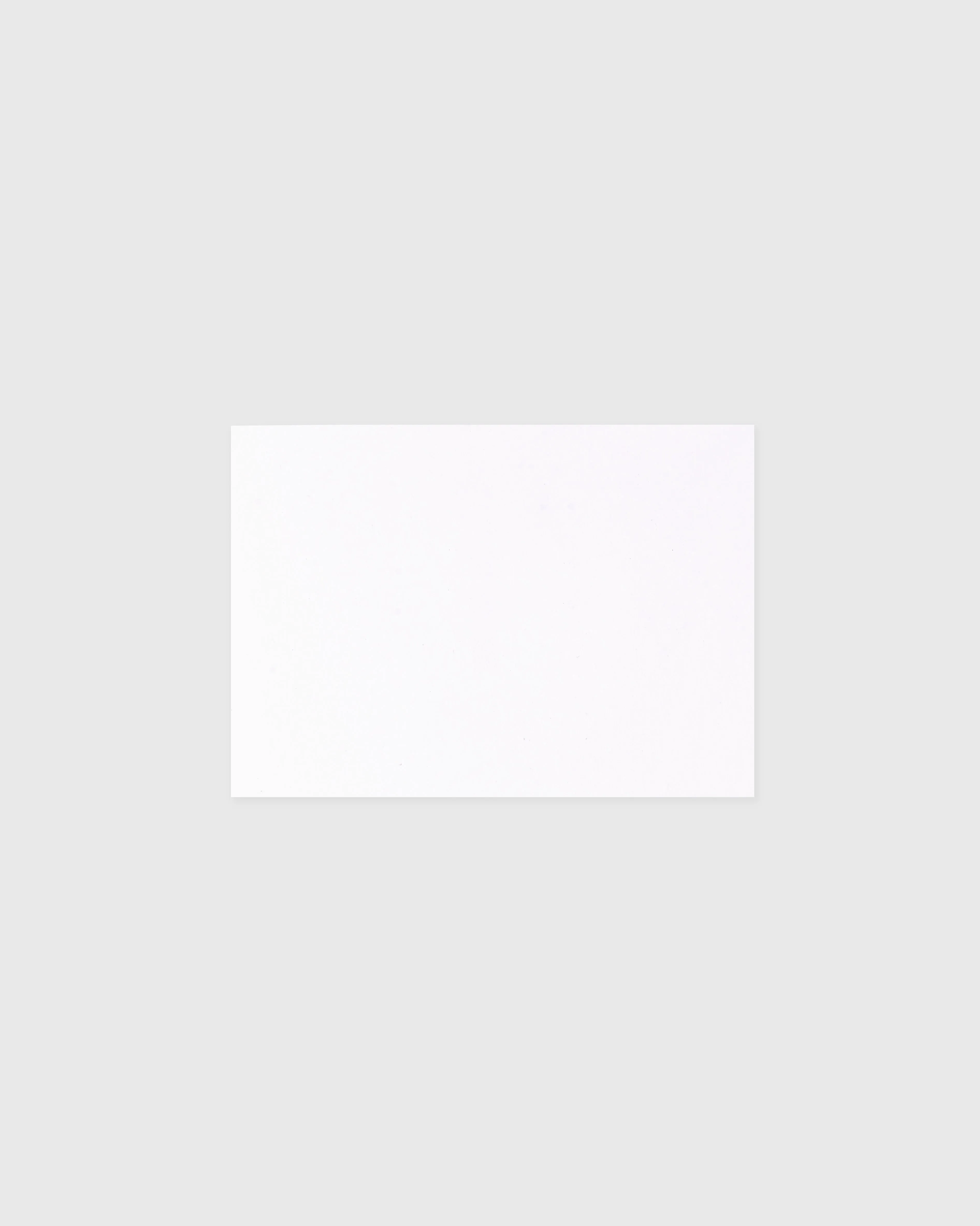 Alissa Bell x Market Blank Set of 4 Cards Saddle