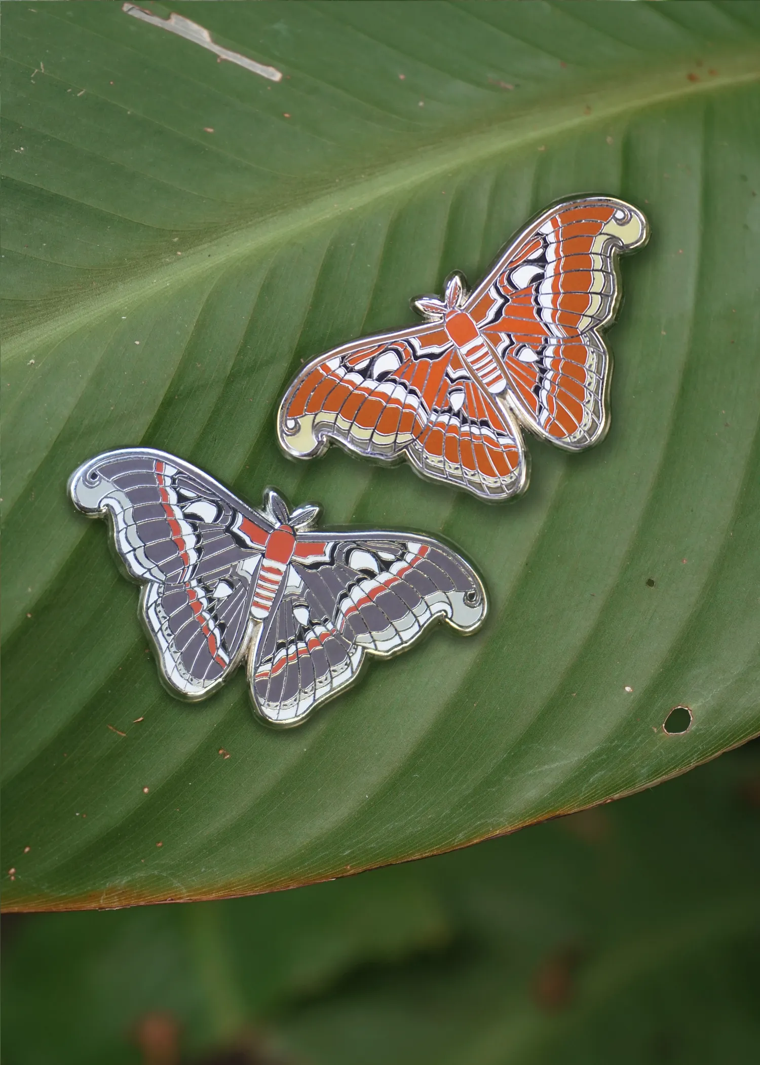 Atlas Moth Pin