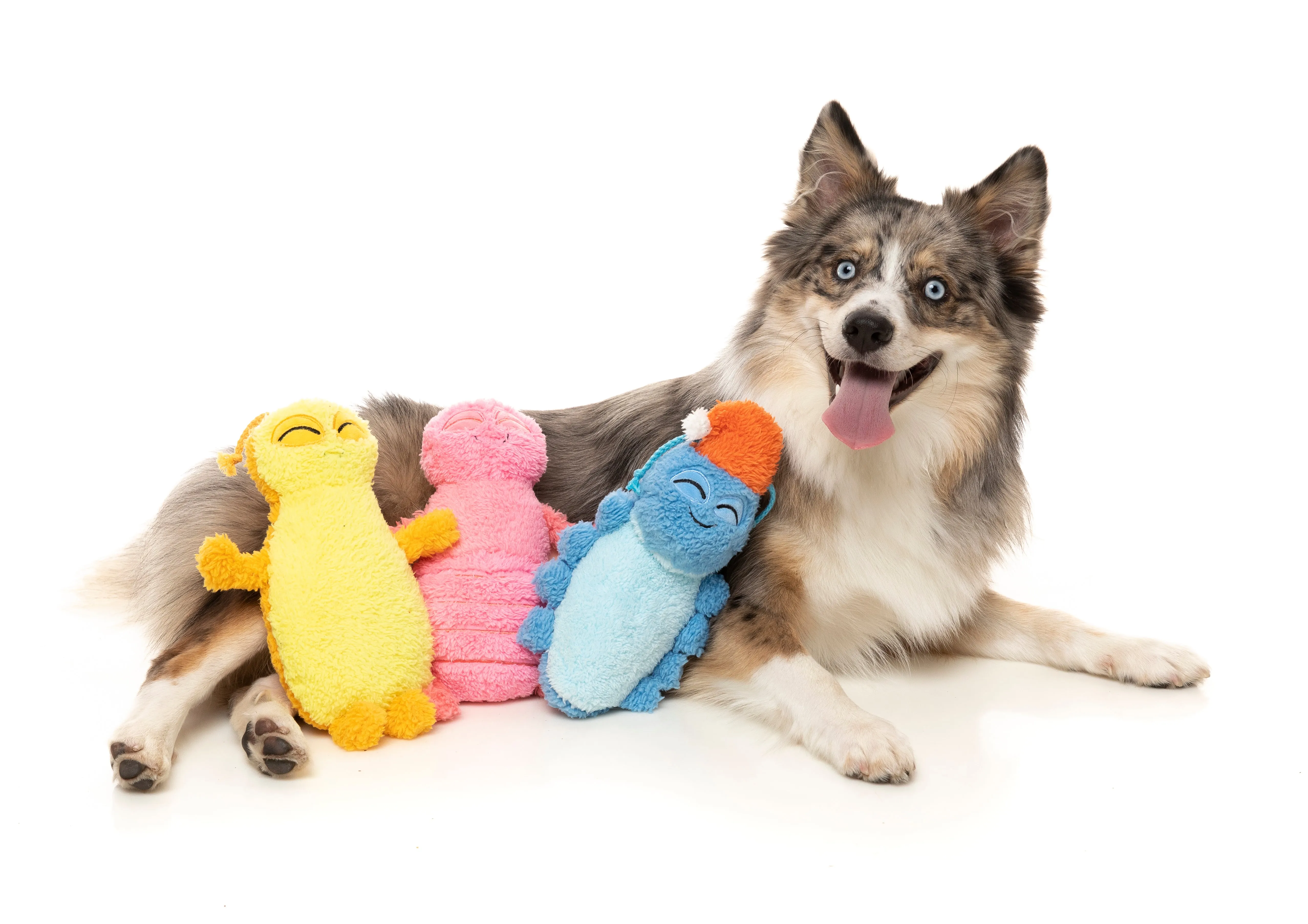 Belly The Bed Bug Dog Toy