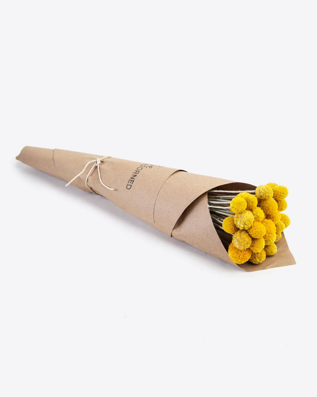 Billy Buttons