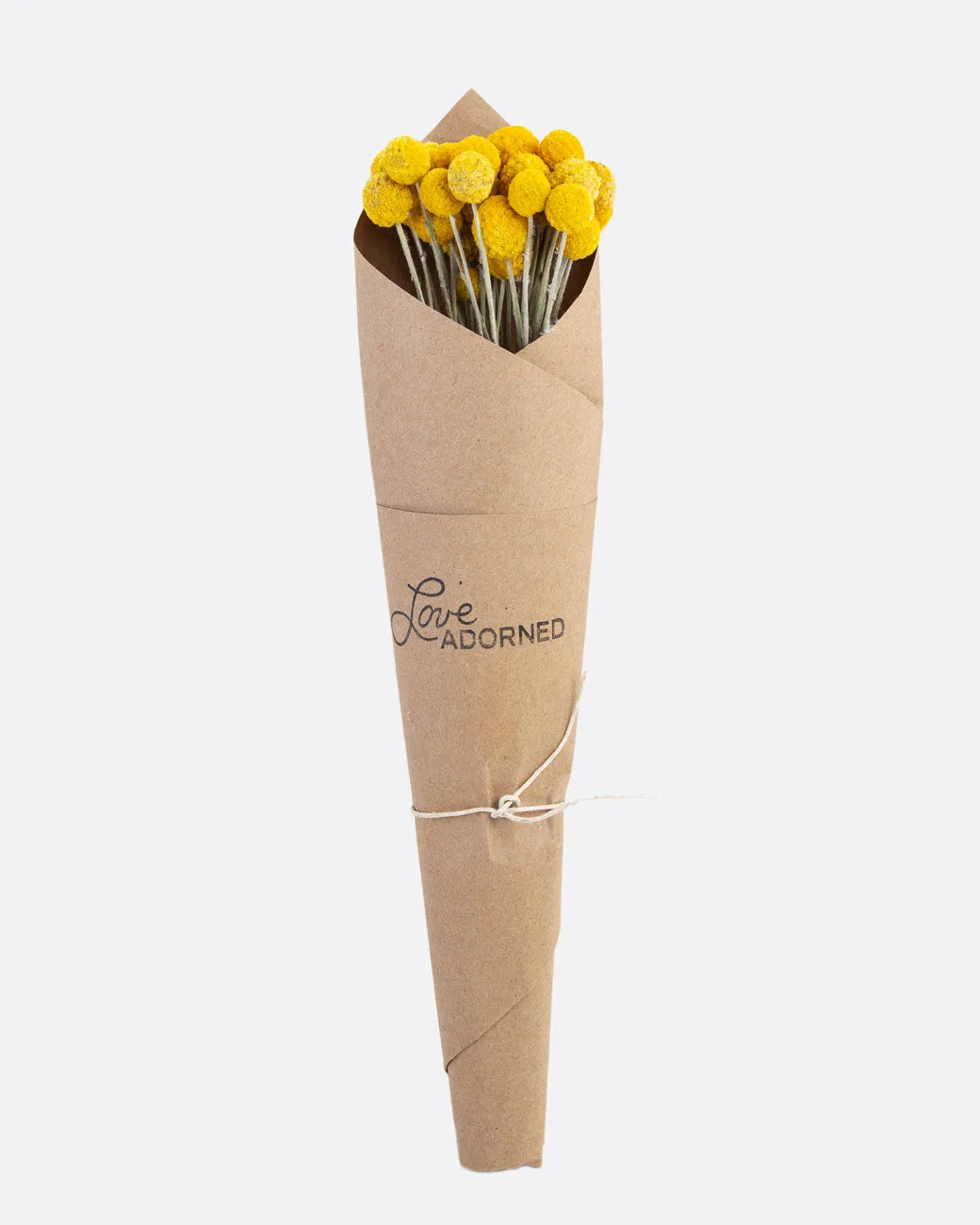 Billy Buttons
