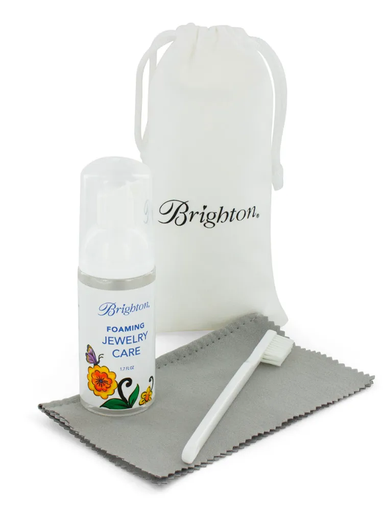 Brighton Foaming Clean Kit