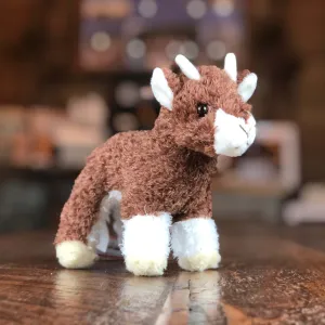 Buffy Baby Goat