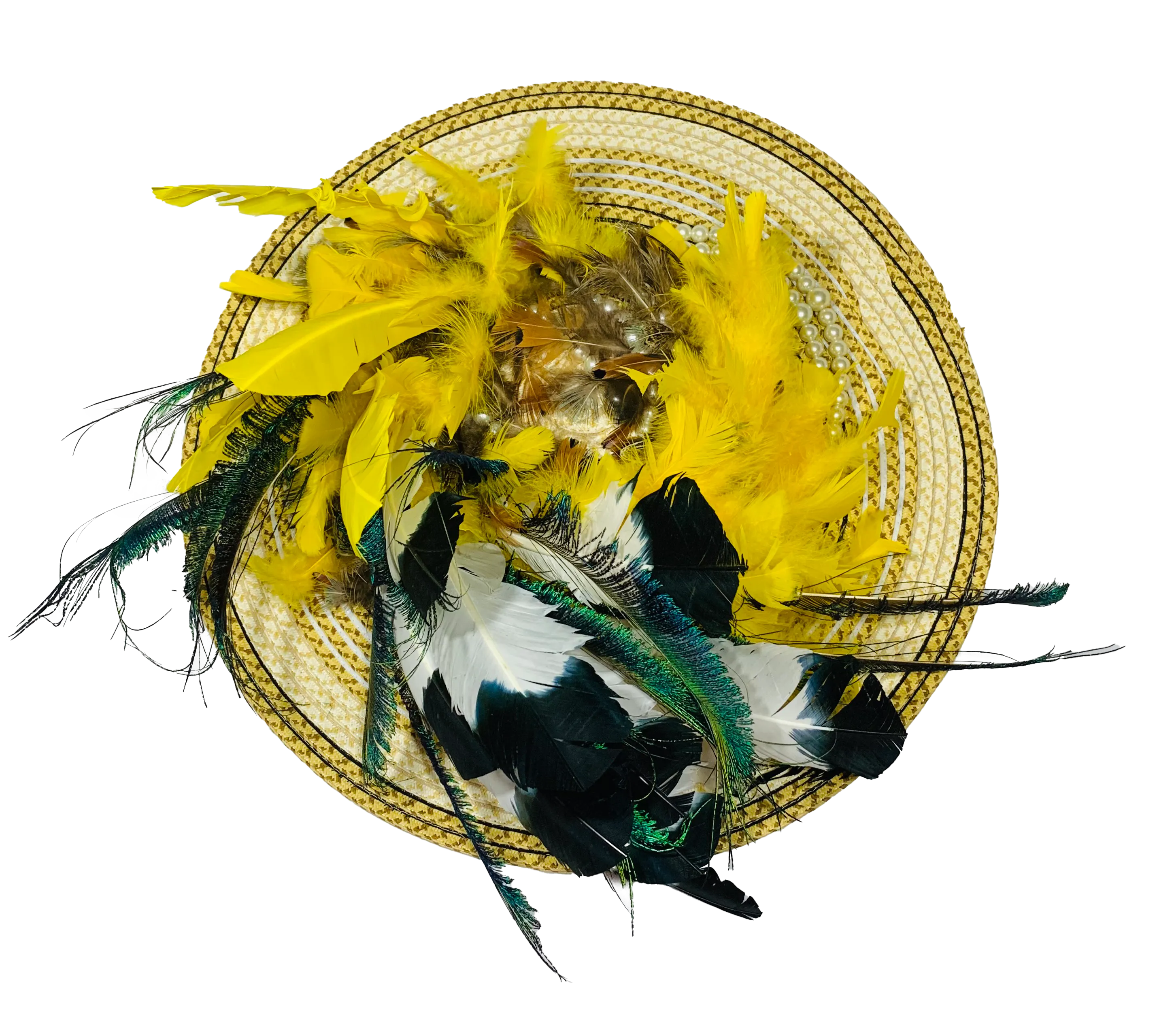 Canary