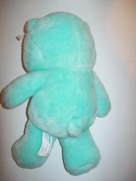 Care Bears Wish Bear
