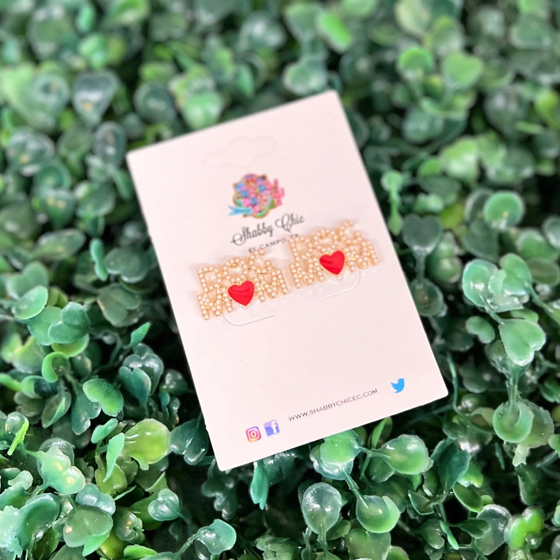Cat/Dog Mom Earrings