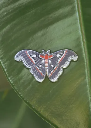 Cecropia Moth Pin