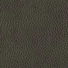 Center Line 6-Piece Upholstery Package