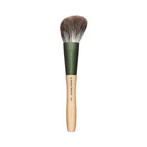 Chikuhodo FO-4 Cheek/ Highlight, FO Series