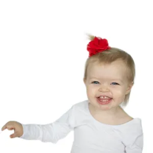 Chrysta Hair Clip