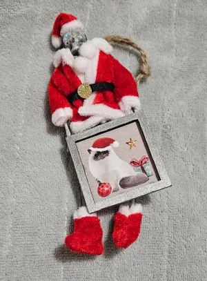 Creepy Claus - Festive cat