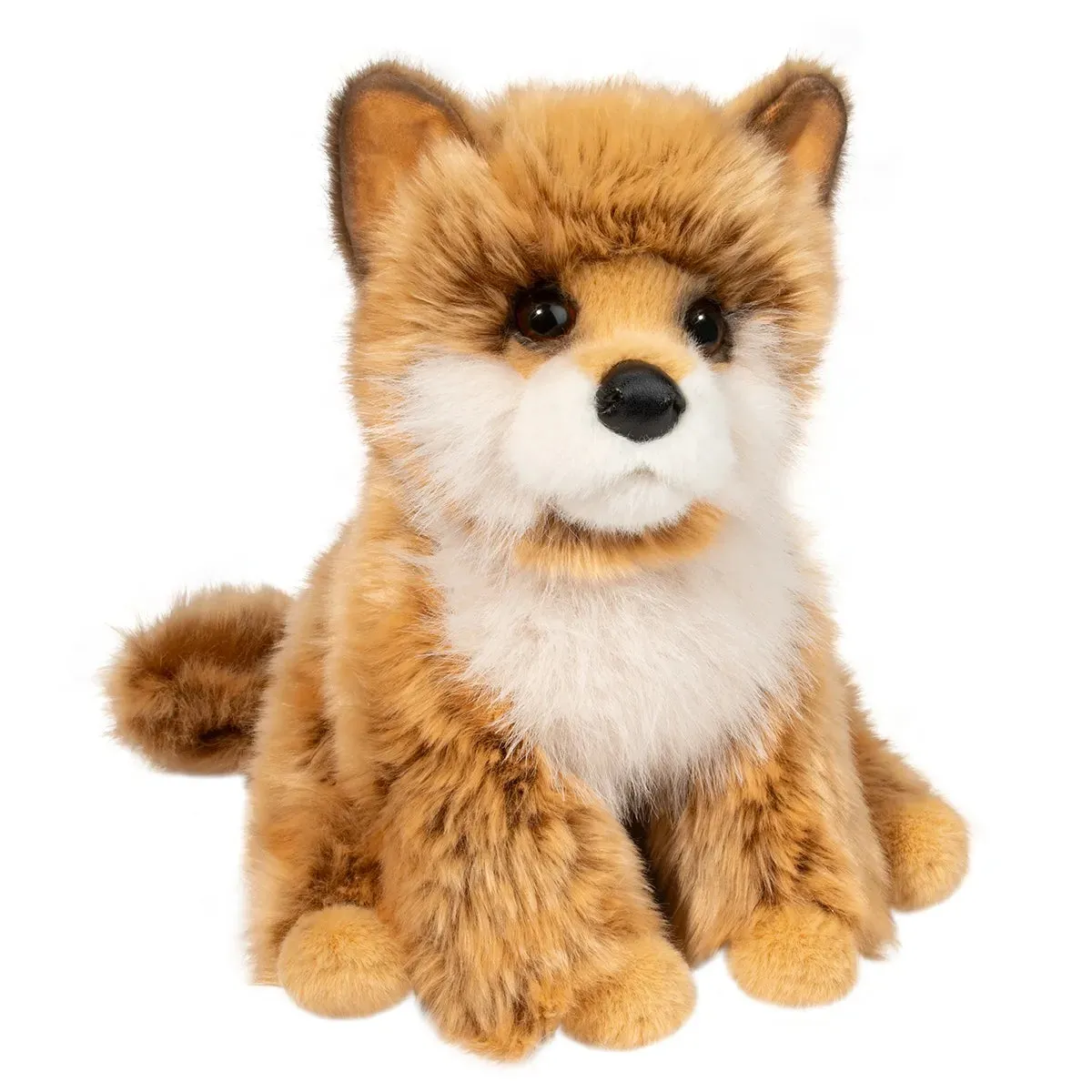Douglas - Dove Pomsky