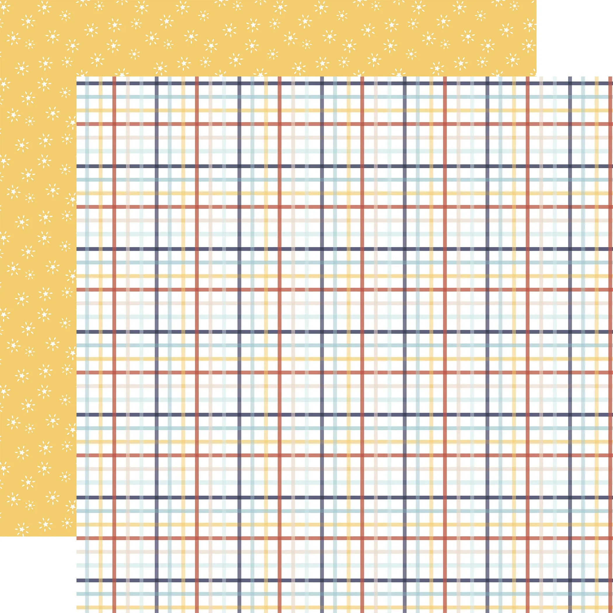 Echo Park - Baby On Board It's a Boy - 12x12 Single Sheet - Sweet Boy Plaid