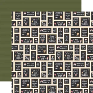 Echo Park - Special Delivery Baby Girl - 12x12 Single Sheet / Baby Girl Signs