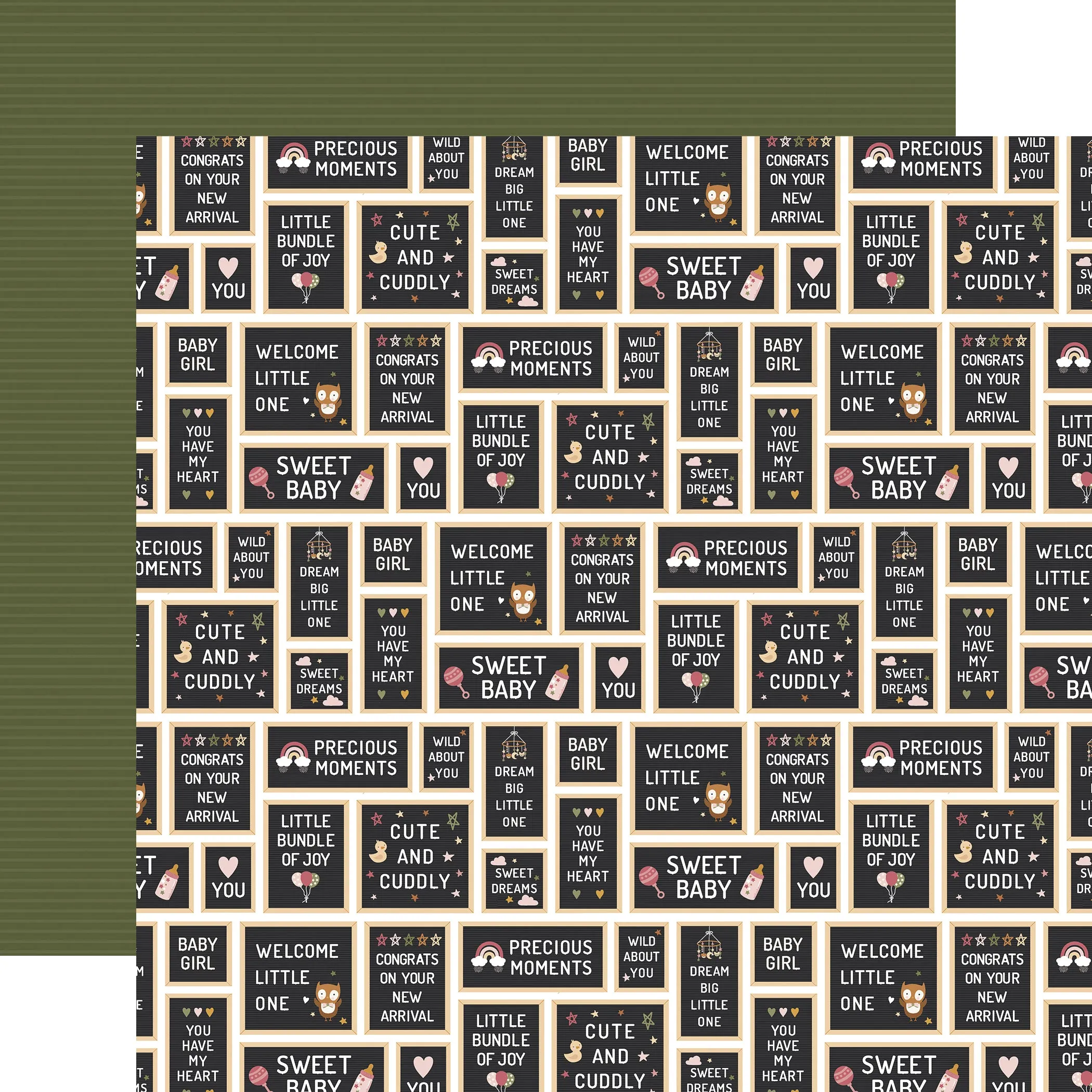 Echo Park - Special Delivery Baby Girl - 12x12 Single Sheet / Baby Girl Signs