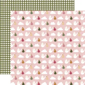 Echo Park - Special Delivery Baby Girl - 12x12 Single Sheet / Stork Delivery Day