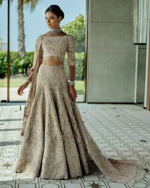 Embellished Silver Grey Lehenga Choli for Bridal Wear