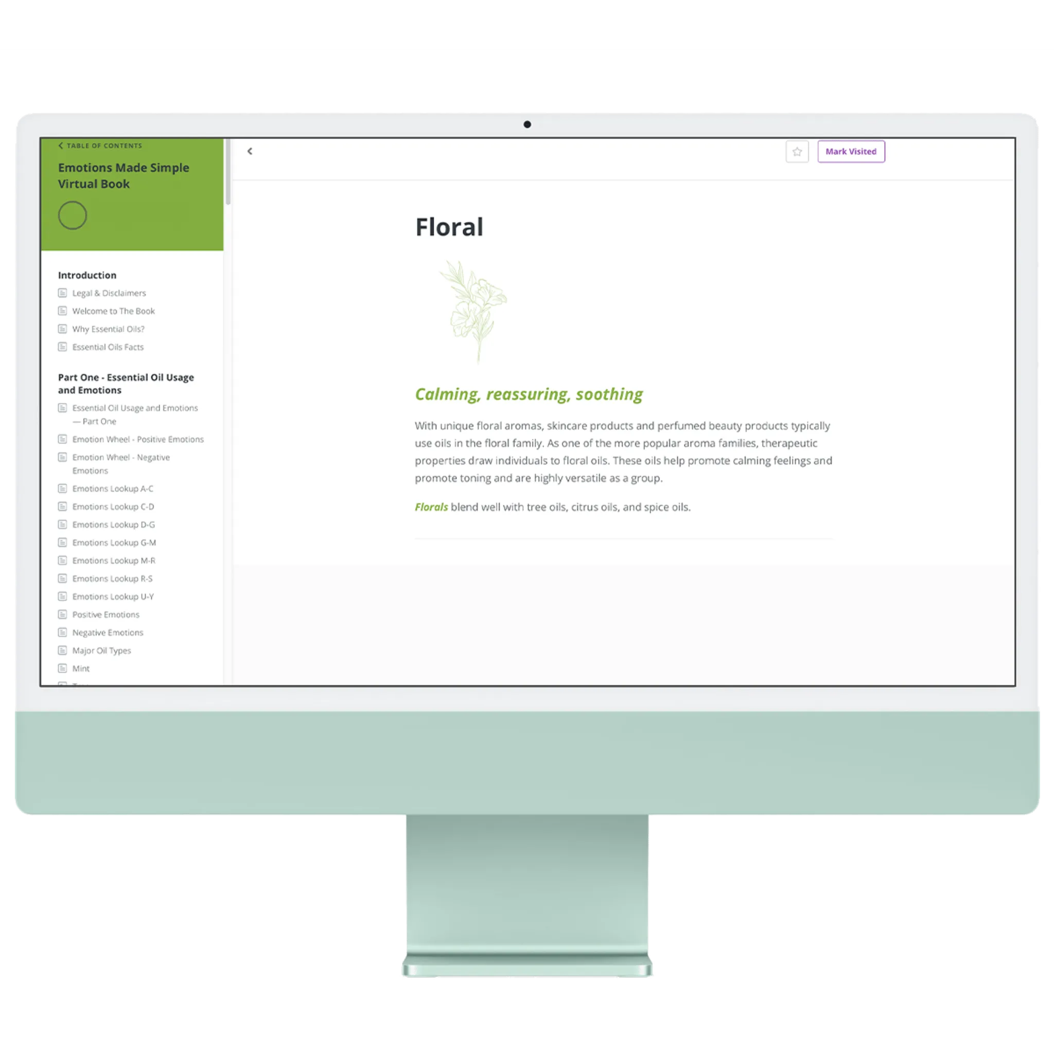 Emotions Made Simple 1st Edition [Virtual Book]
