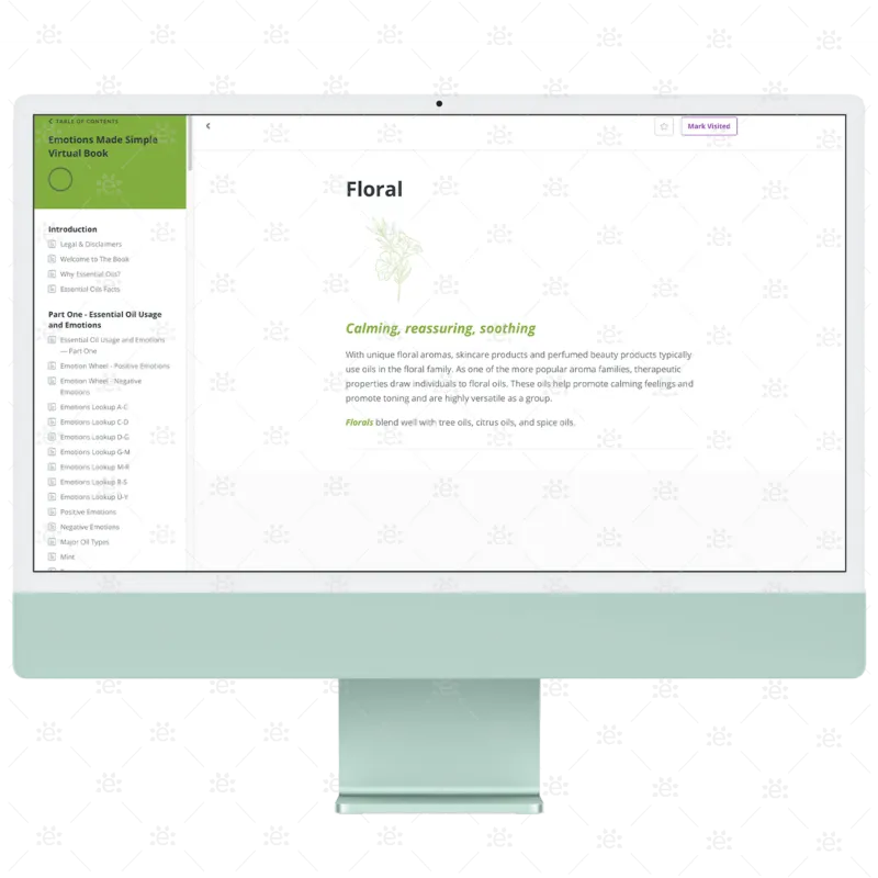 Emotions Made Simple 1st Edition [Virtual Book]