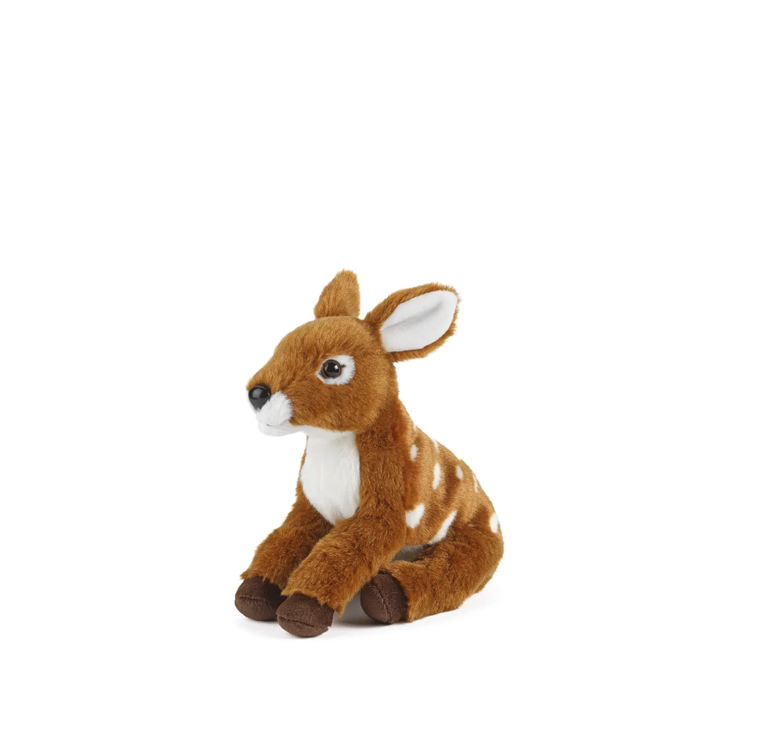 Fawn Deer