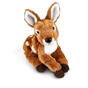 Fawn Deer