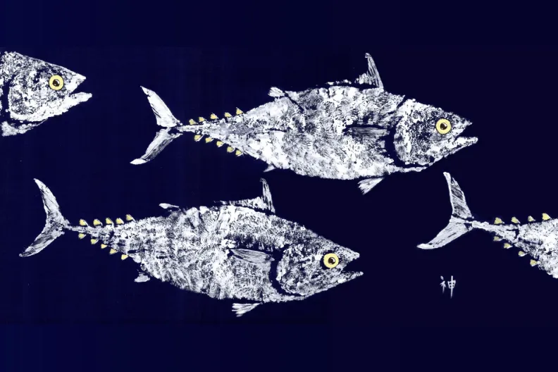 Fish Aye Trading - School of Tuna |White on Navy Placemat/ set 4