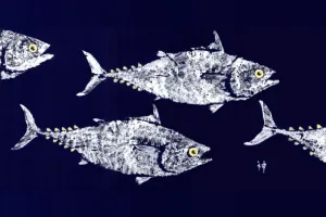 Fish Aye Trading - School of Tuna |White on Navy Placemat/ set 4