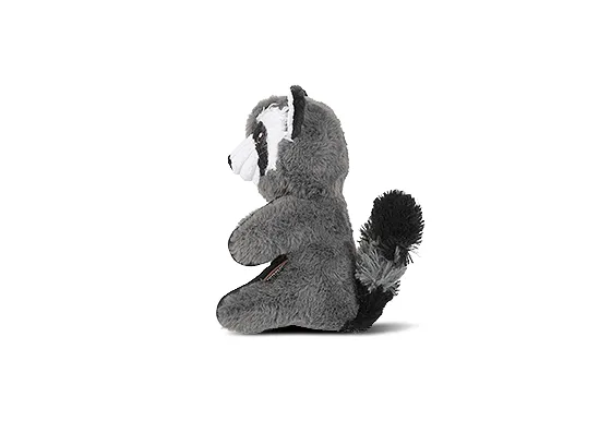 Forest Friends - Robby the Raccoon