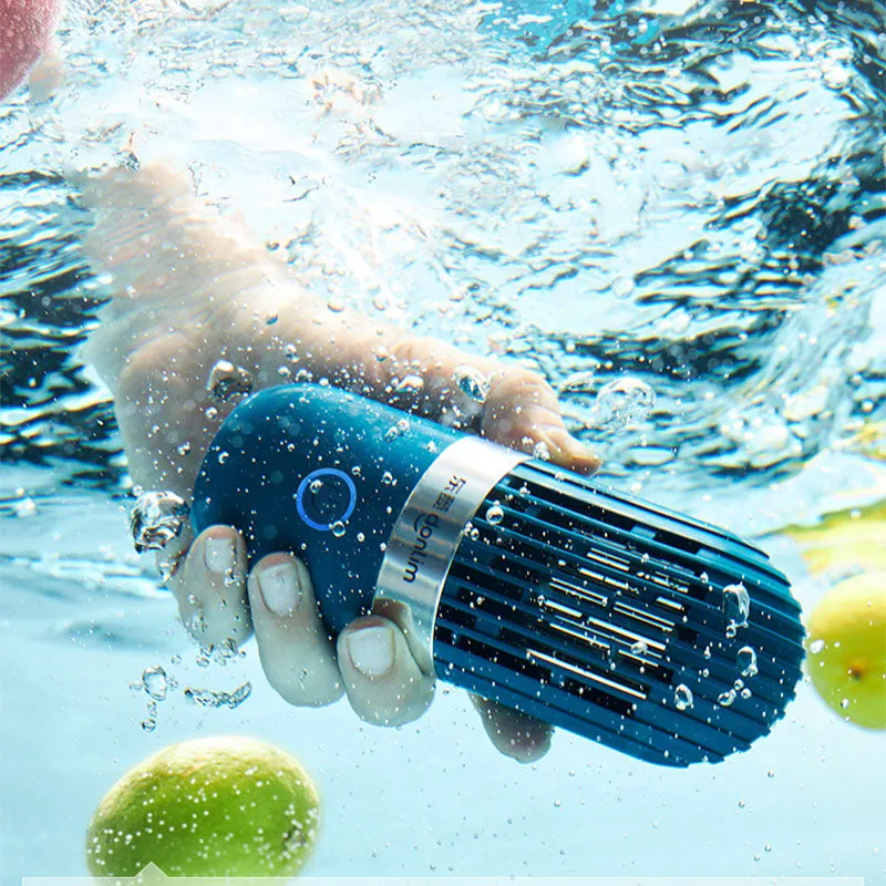 Fruit and Vegetable Cleaning Machine