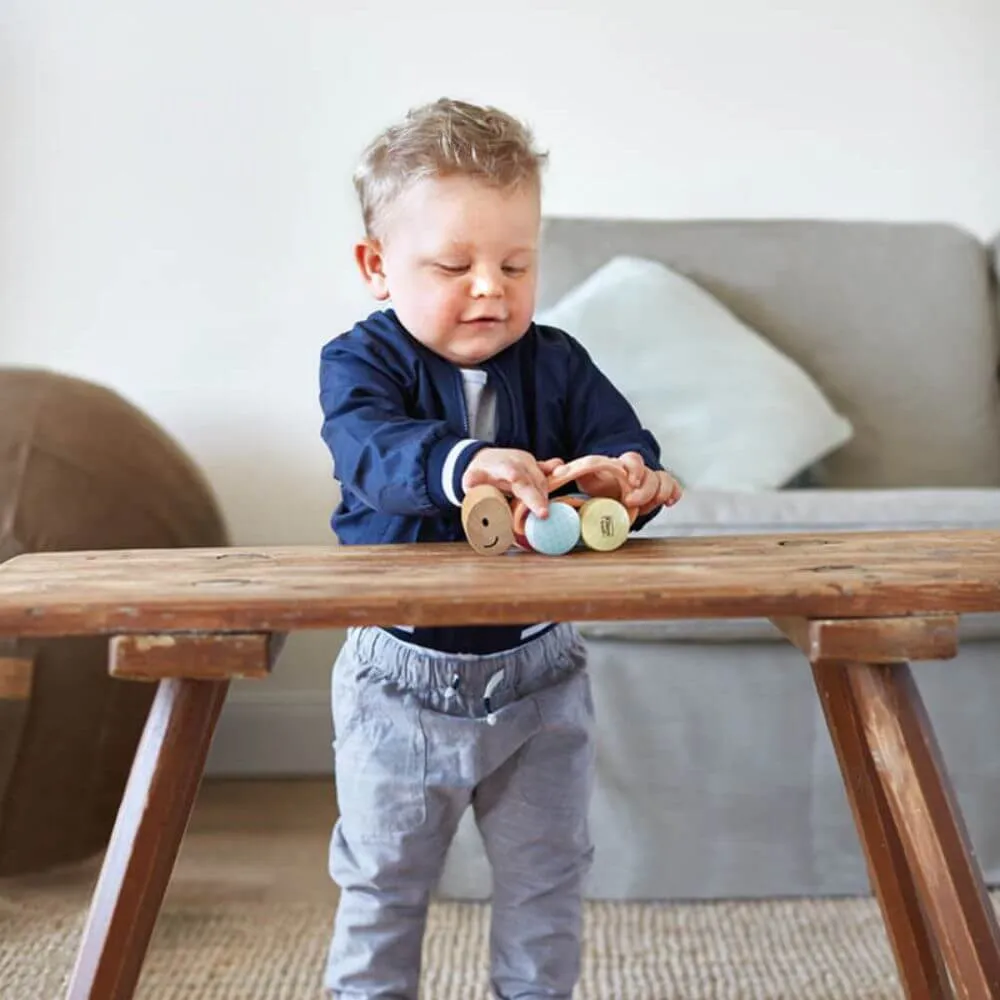 Hape Turbo Turtle