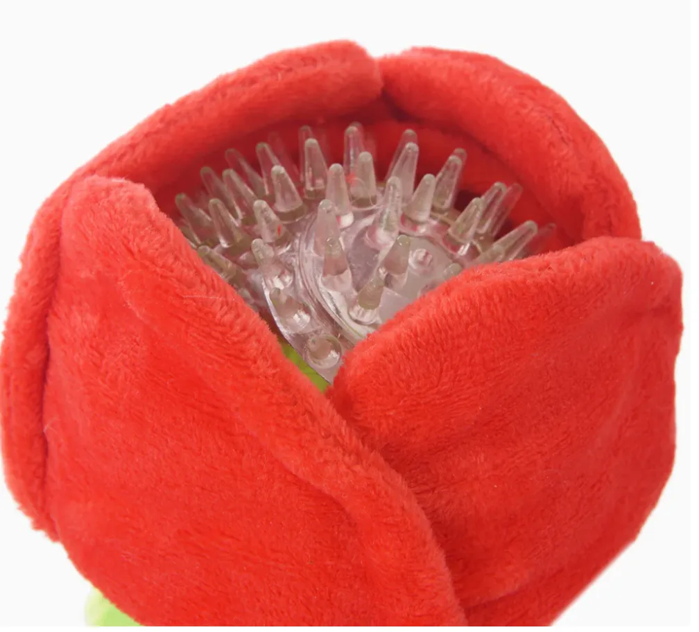 HugSmart Super Ball - Woof Love Rose Valentine's Day Dog Toy