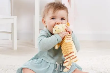 Hundred Acre Wood Tigger Soft Toy