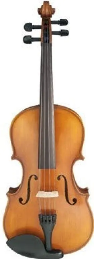 John Juzek Viola Outfit