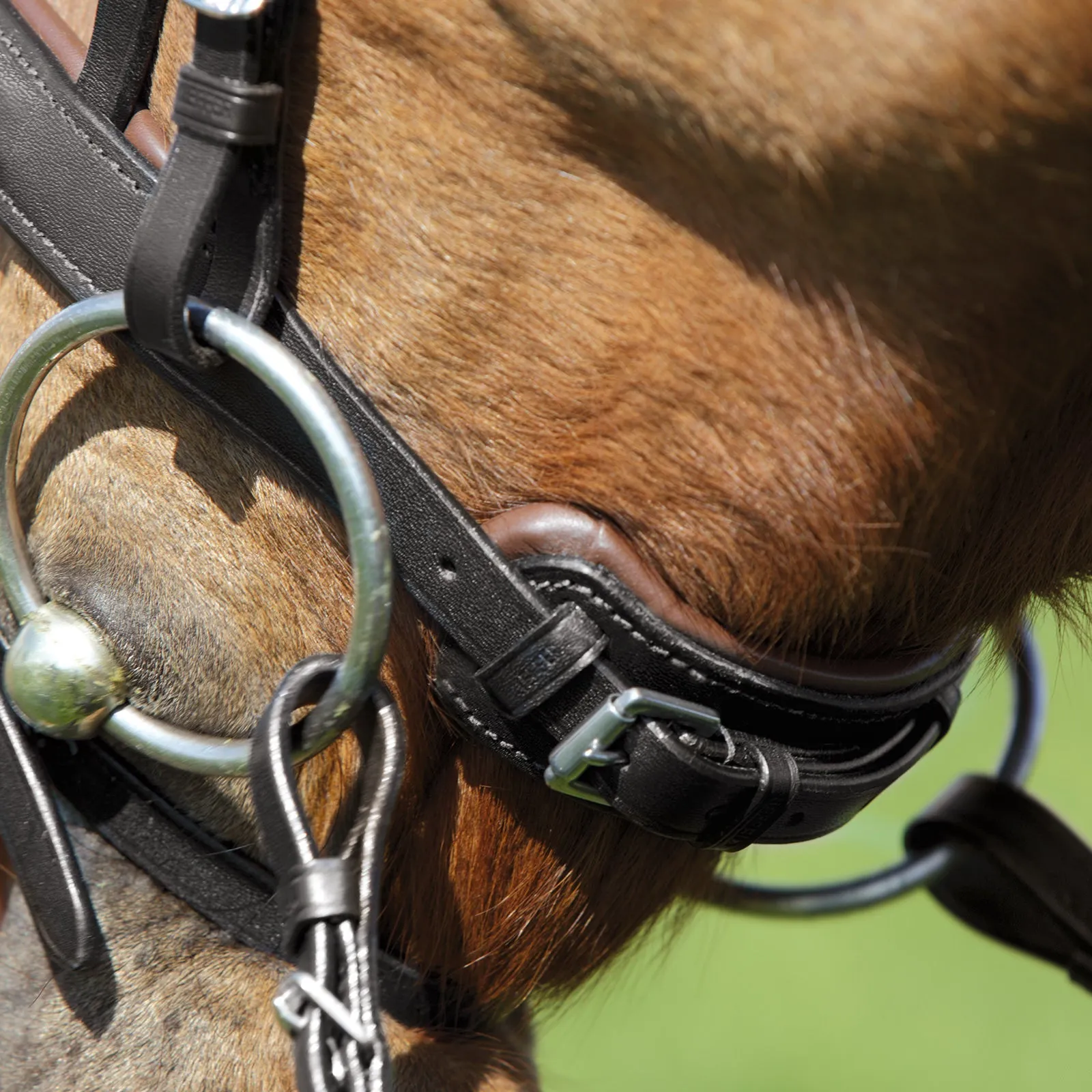 Kieffer Comfort I Snaffle Bridle