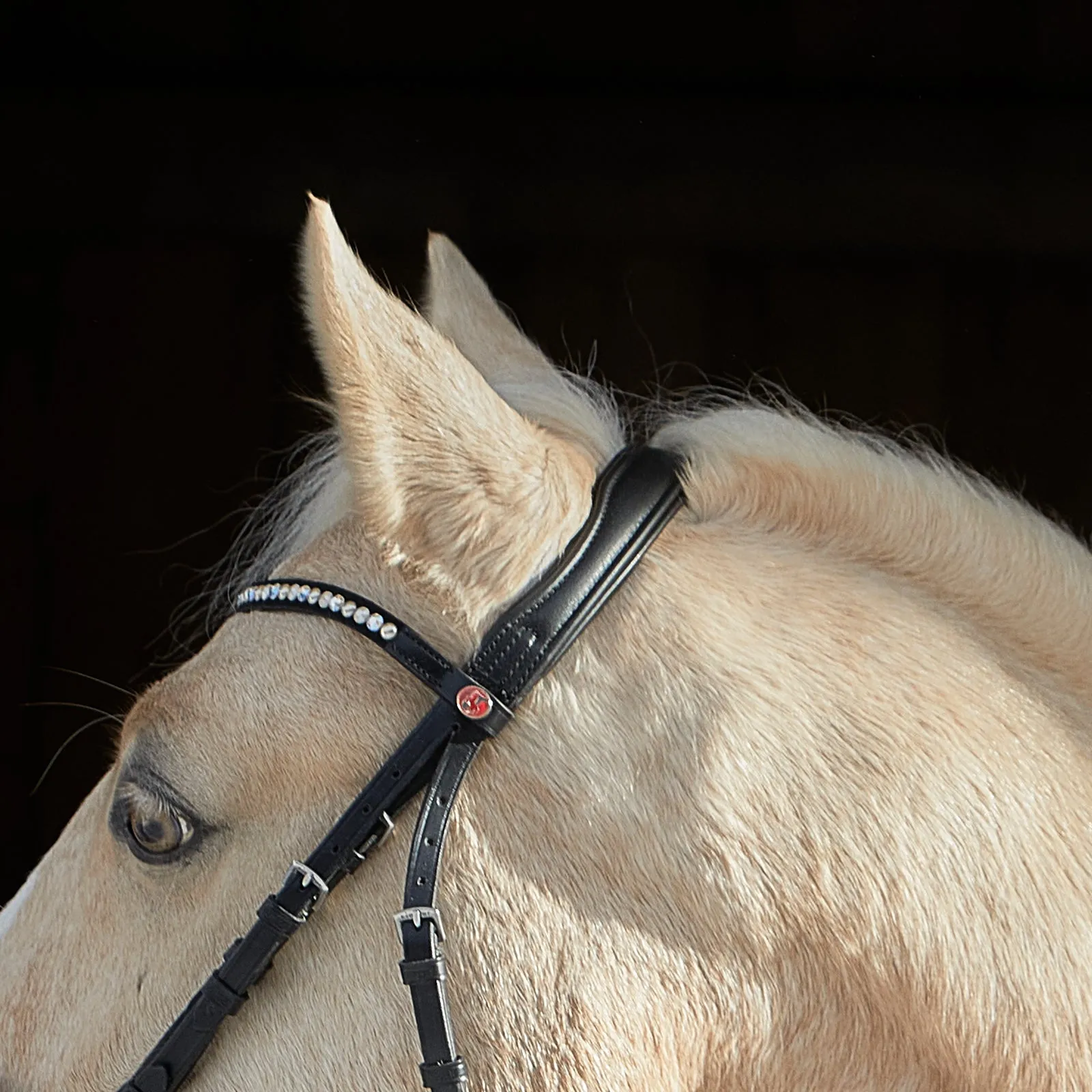 Kieffer Ilona Snaffle Bridle