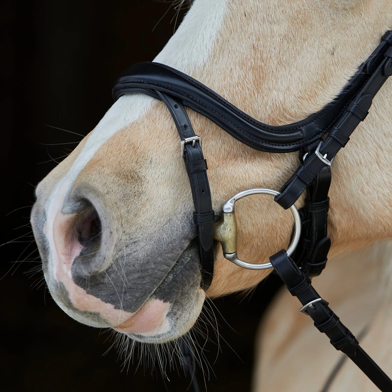 Kieffer Ilona Snaffle Bridle
