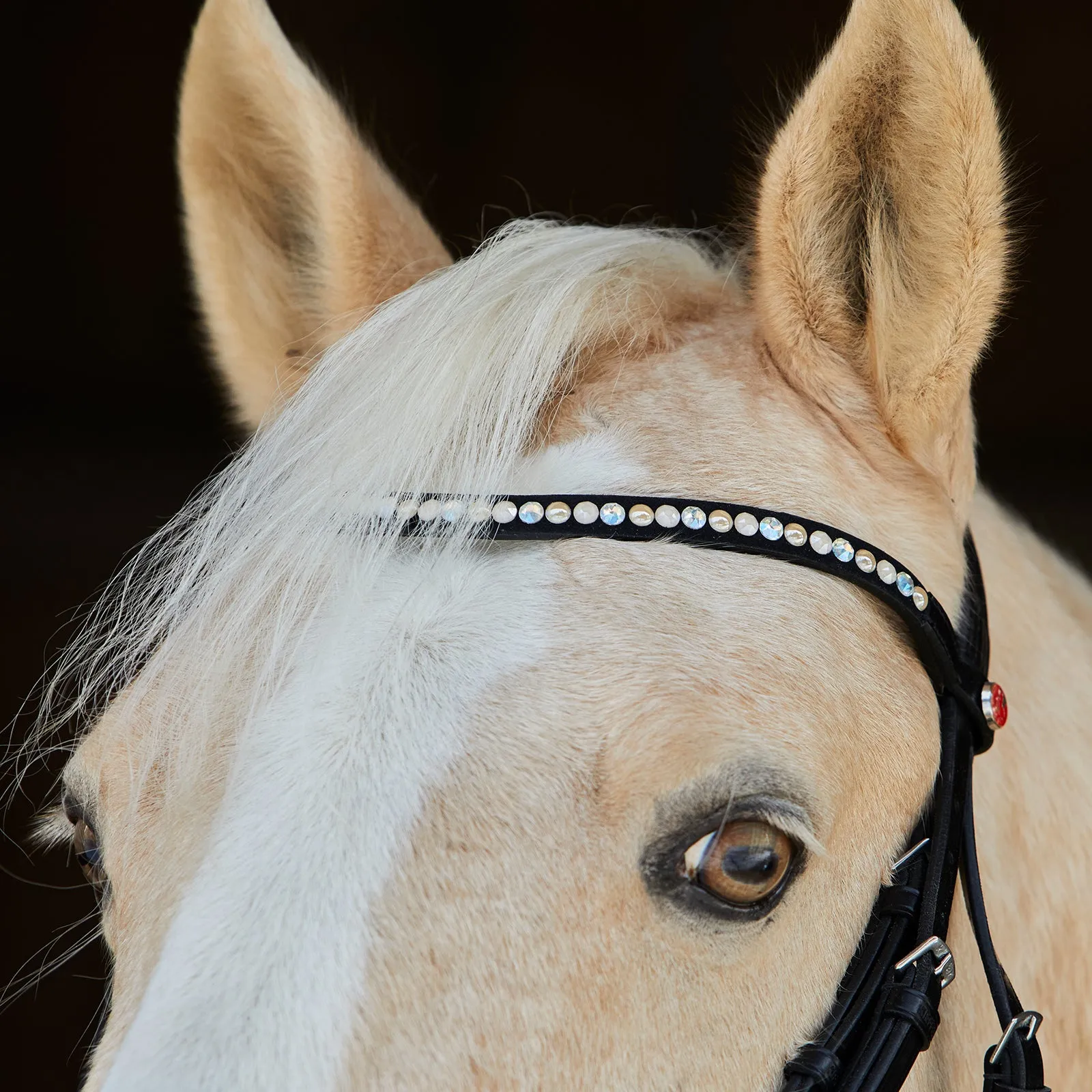 Kieffer Ilona Snaffle Bridle