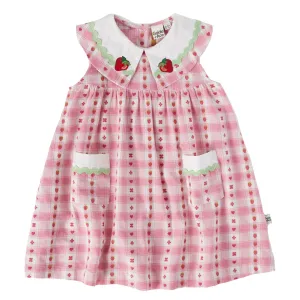 Lucy Collared Very Berry Gingham Dress