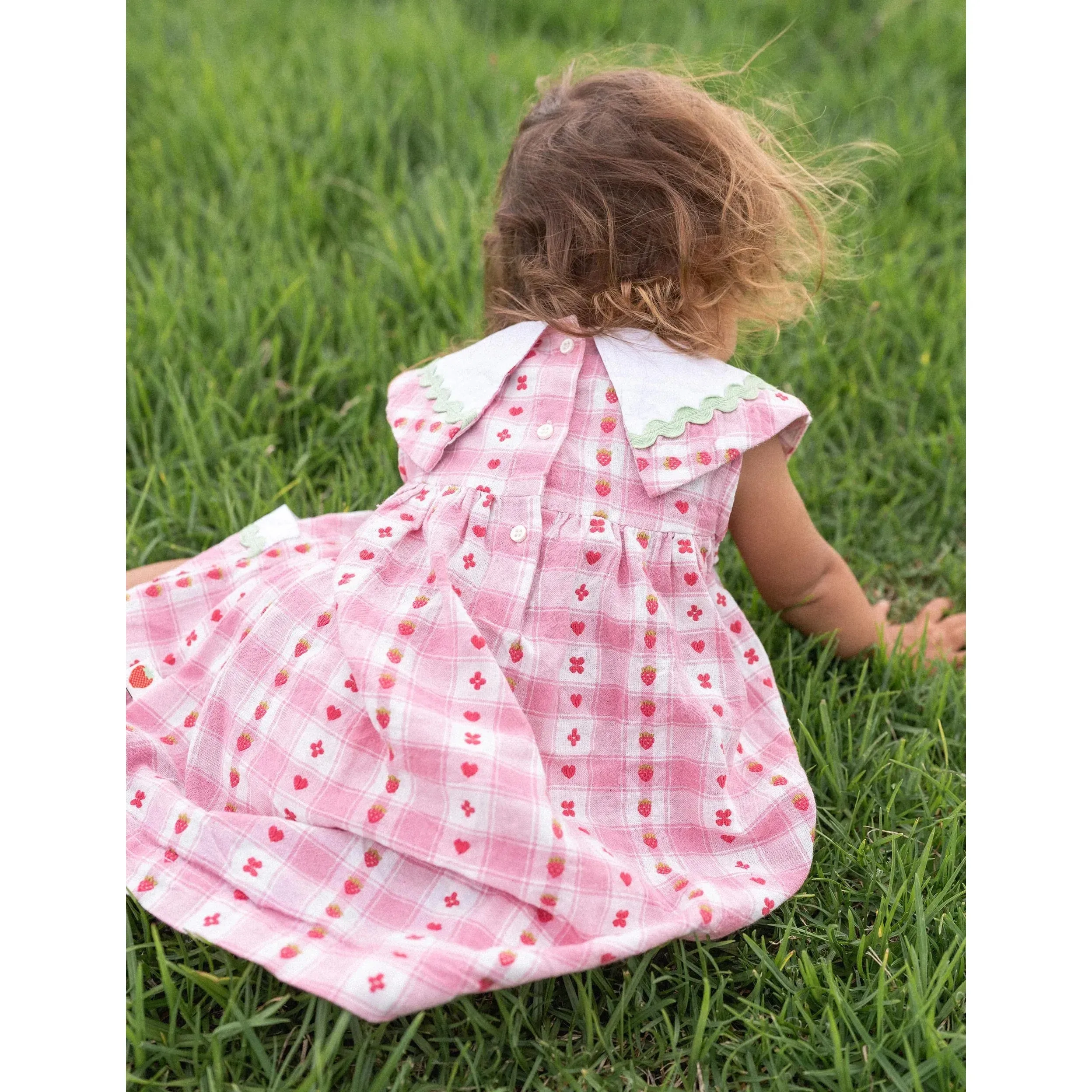 Lucy Collared Very Berry Gingham Dress