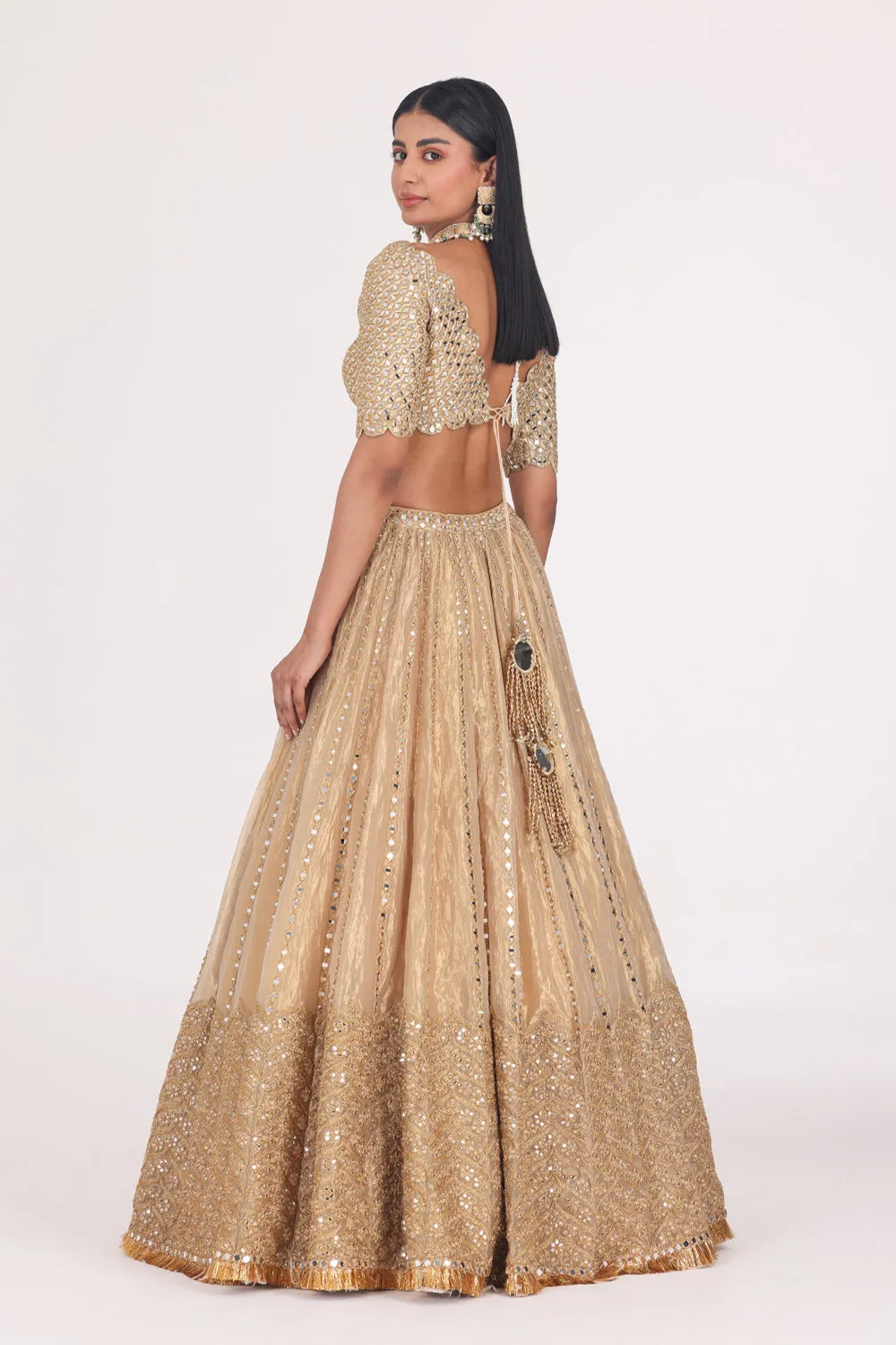 Mirror Embellished Tissue Lehenga Set