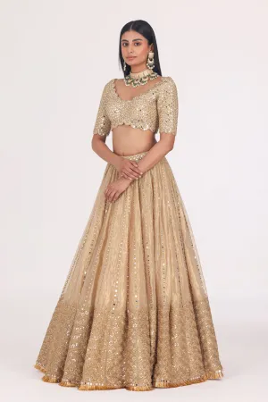 Mirror Embellished Tissue Lehenga Set