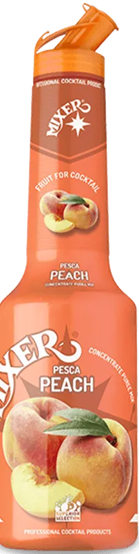 Mixer Peach Purée