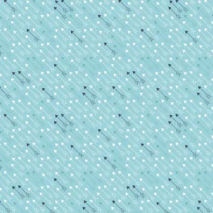 Modern Minis Modern Arrows on Aqua by Lori Holt for Riley Blake Fabrics