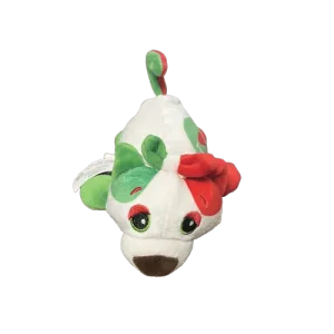 Napolito Catito 2020