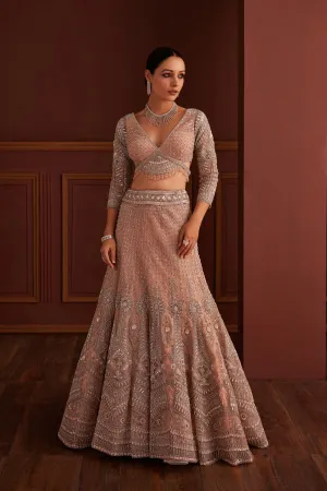 Nude Pink Embellished Mermaid Lehenga