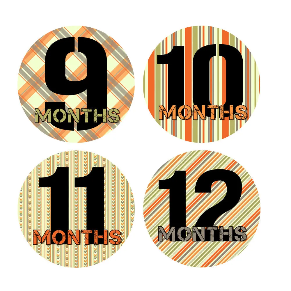 Orange, Green & Gray Patterned Monthly Baby Stickers