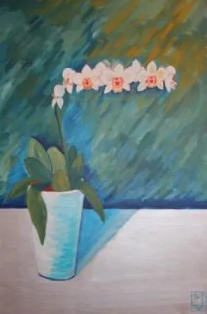 Orchid Doris (White Angled)
