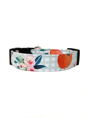 Peachy Keen Dog Collar