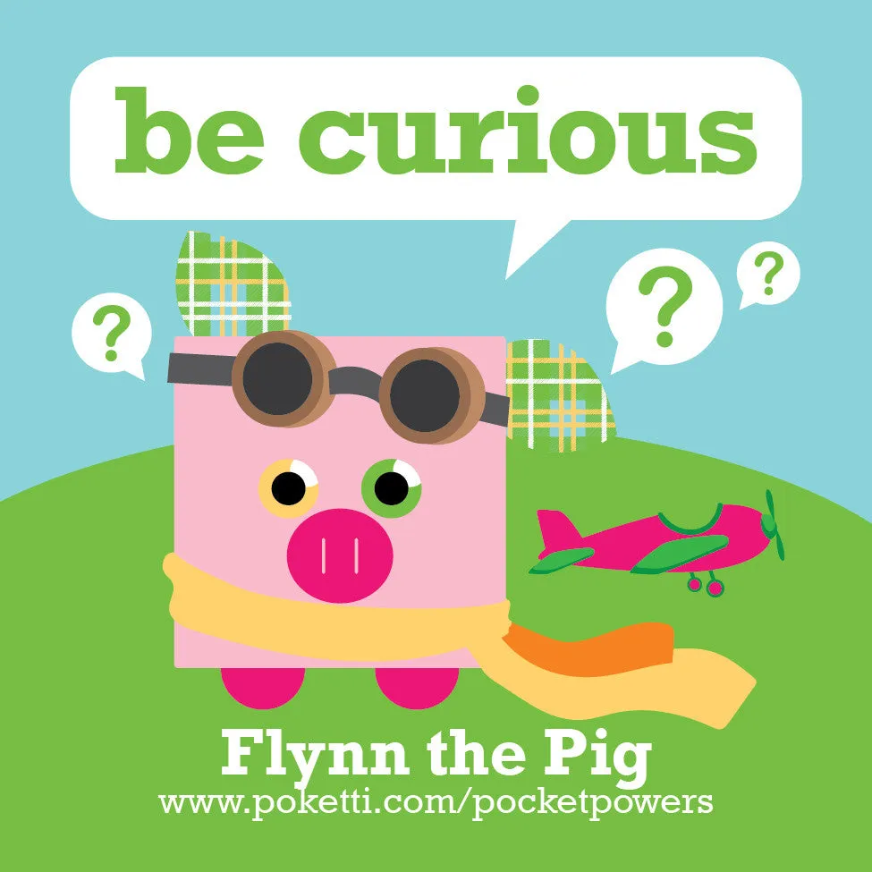 Poketti Plushies Series2 Flynn the Pig