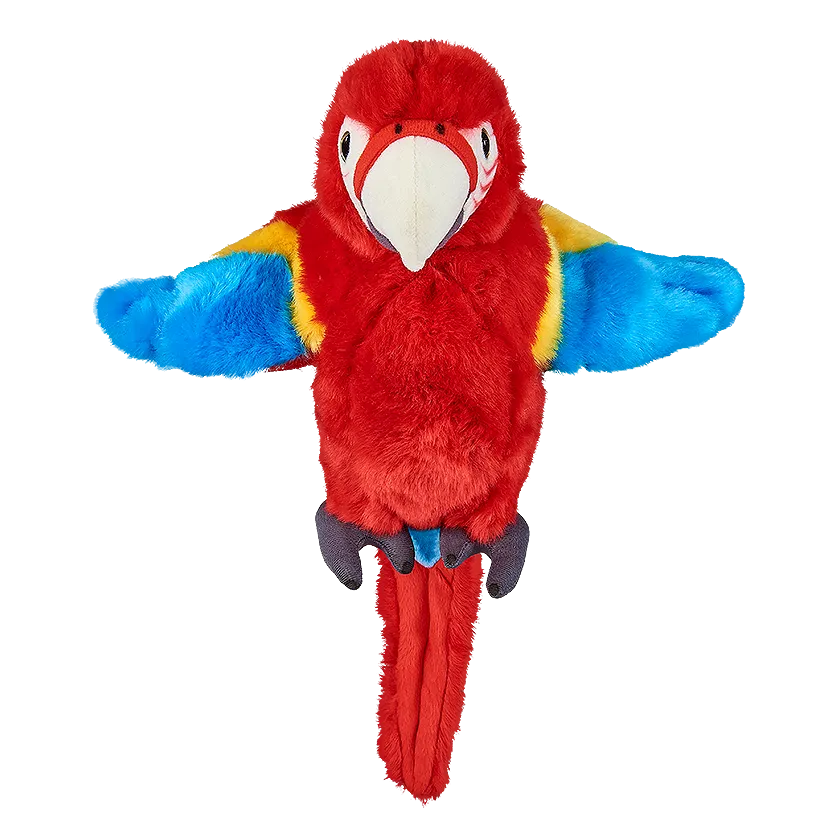 Red Macaw Parrot